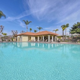 a swimming pool