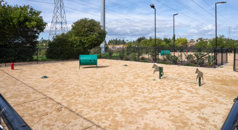 a fenced in dog park